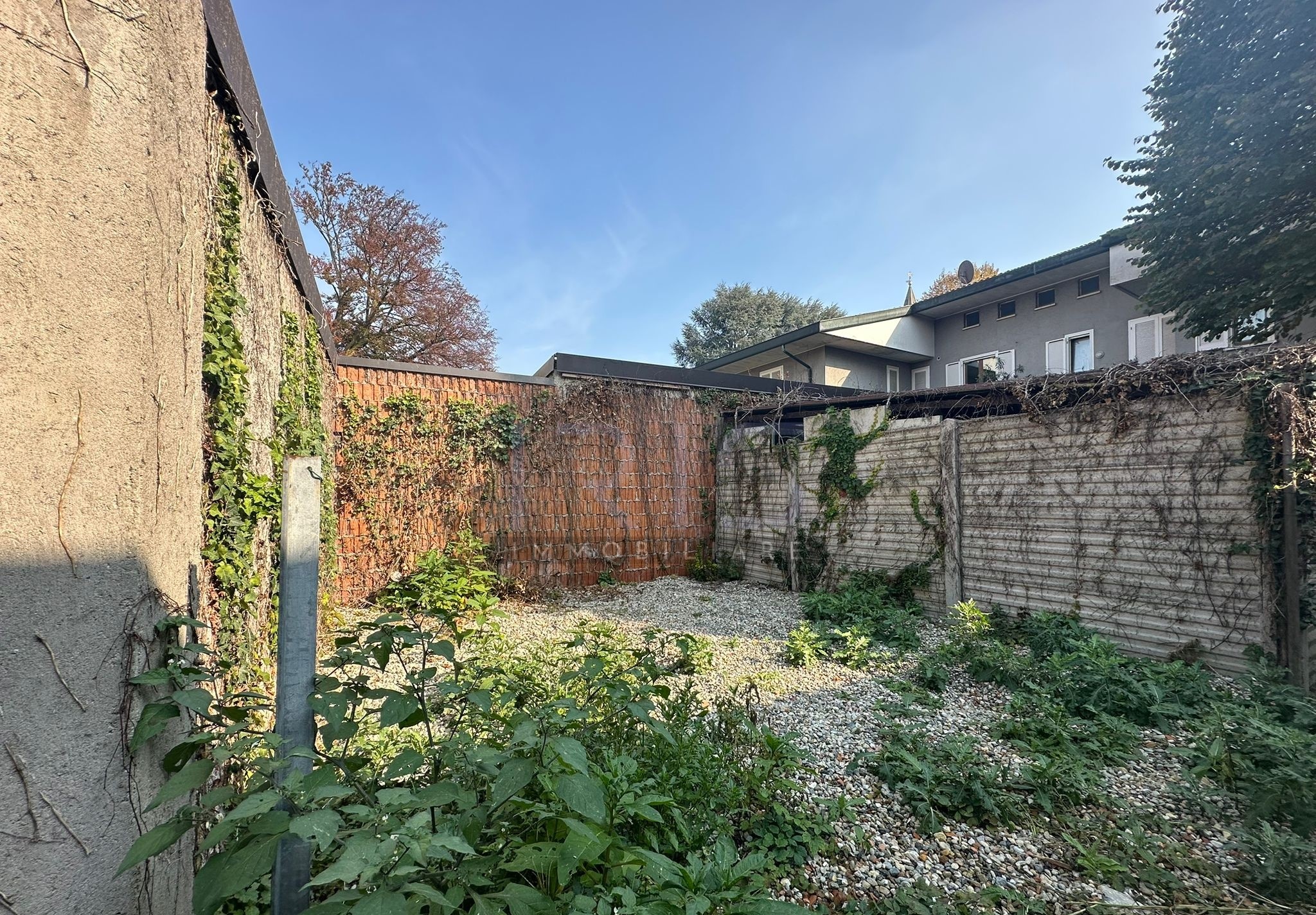 WhatsApp Image 2025-10-11 at 11.17.50