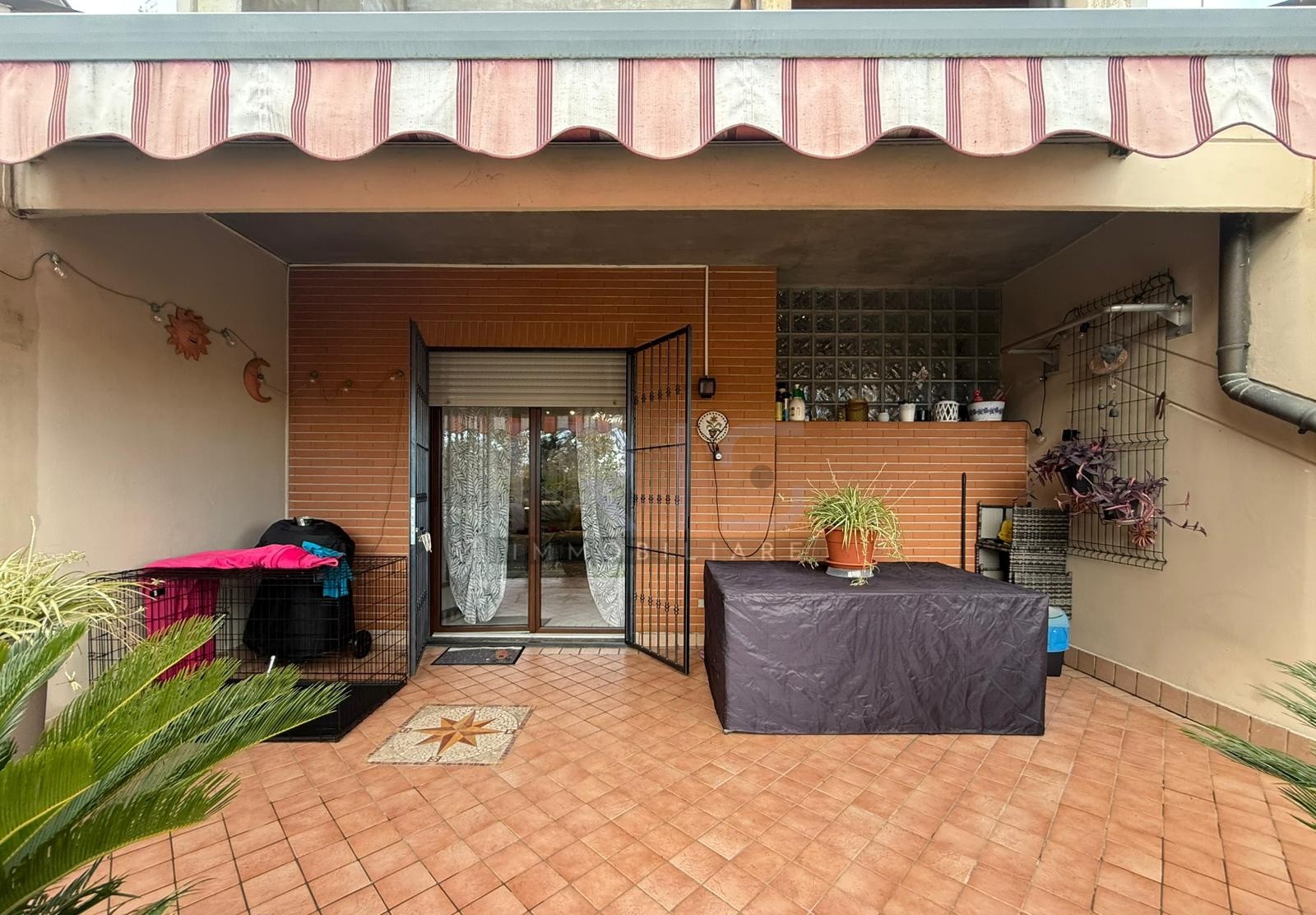 WhatsApp Image 2025-11-17 at 17.01.01 (1)