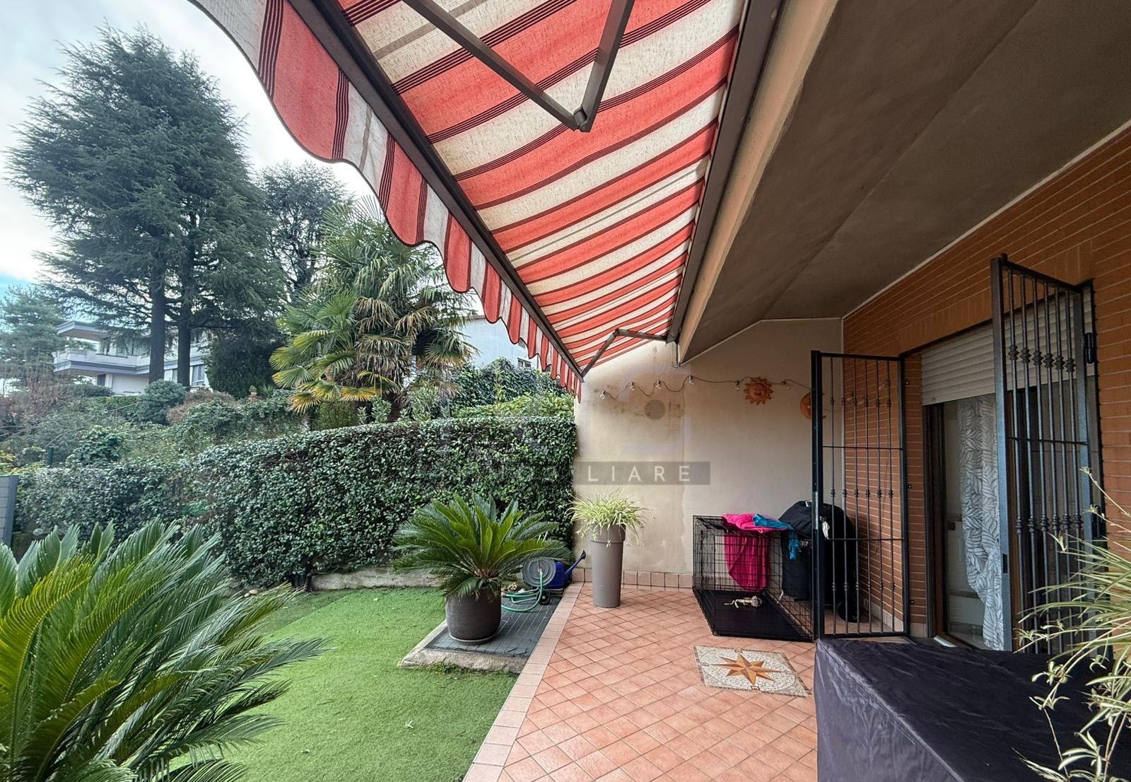 WhatsApp Image 2025-11-17 at 17.01.04 (1)