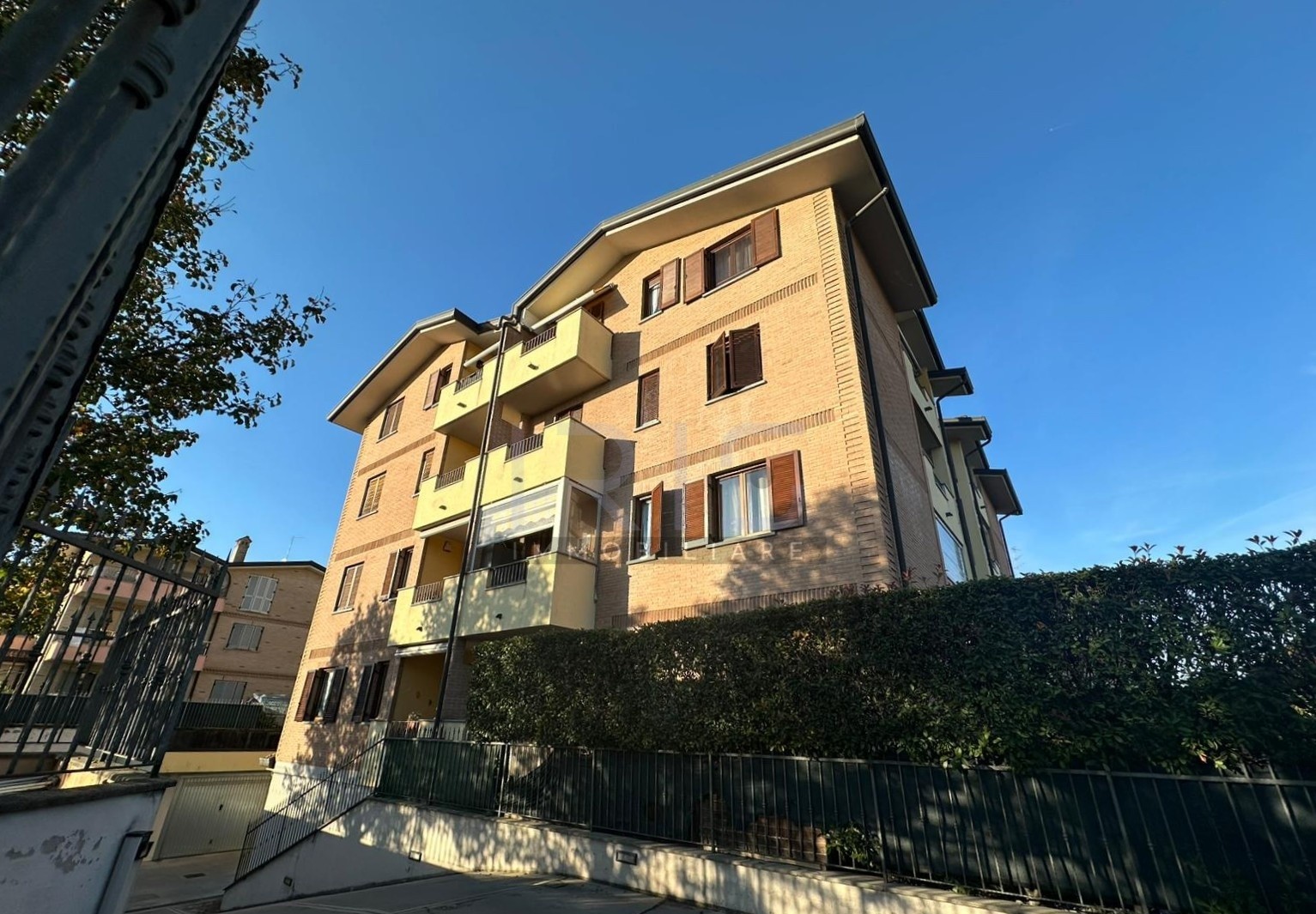 WhatsApp Image 2025-11-06 at 10.20.49