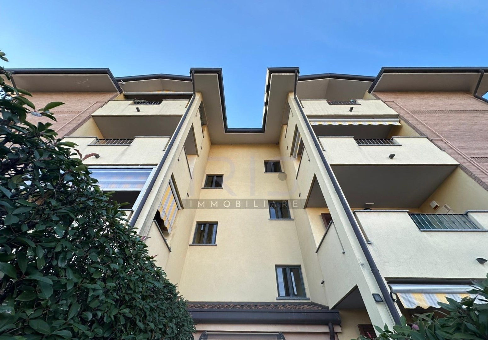 WhatsApp Image 2025-11-06 at 10.21.02 (1)